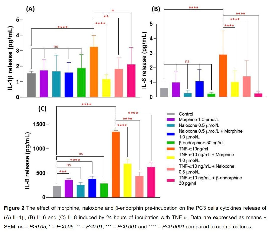 Ics 2023 Abstract 660 Morphine Naloxone And β Endorphin Inhibit